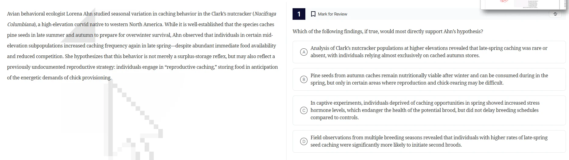 avian behavioral ecologist lorena ahn studied seasonal variation in cac…