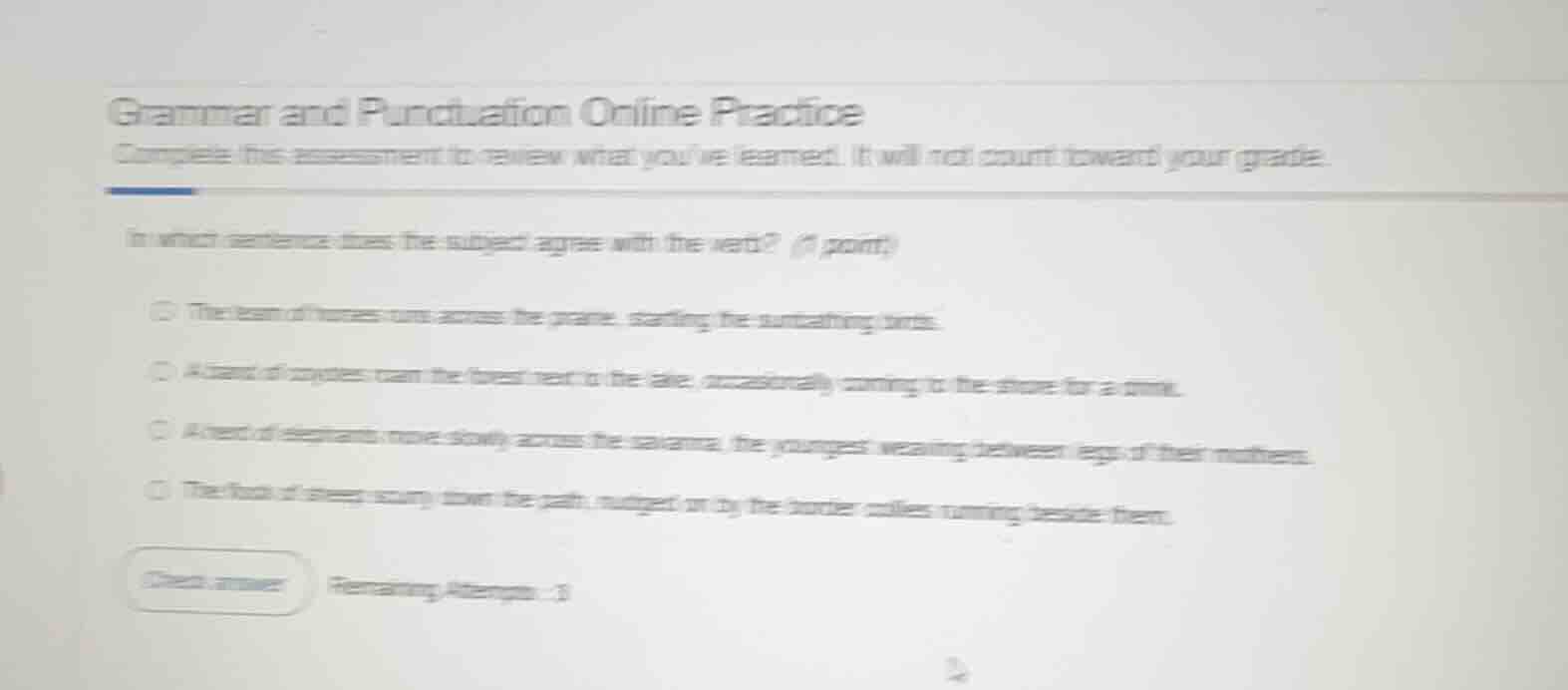 grammar and punctuation online practice complete this assessment to rev…