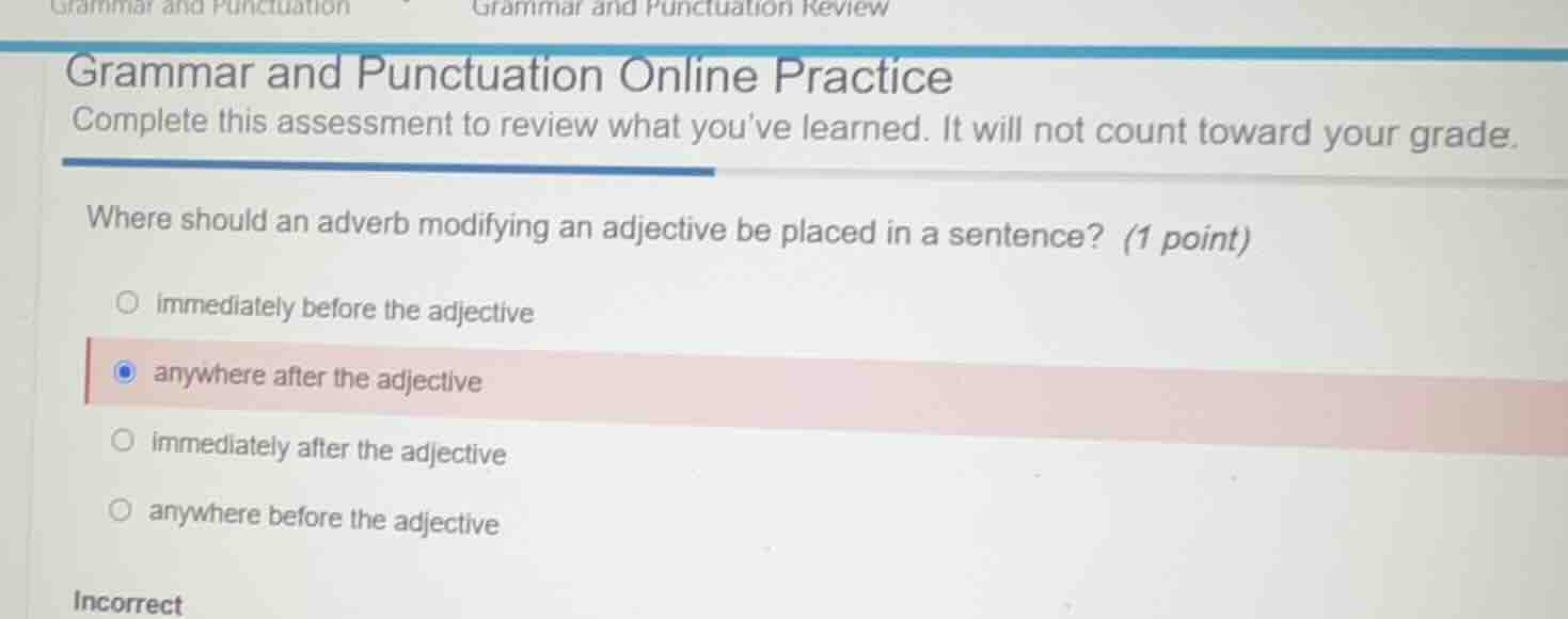grammar and punctuation online practice complete this assessment to rev…
