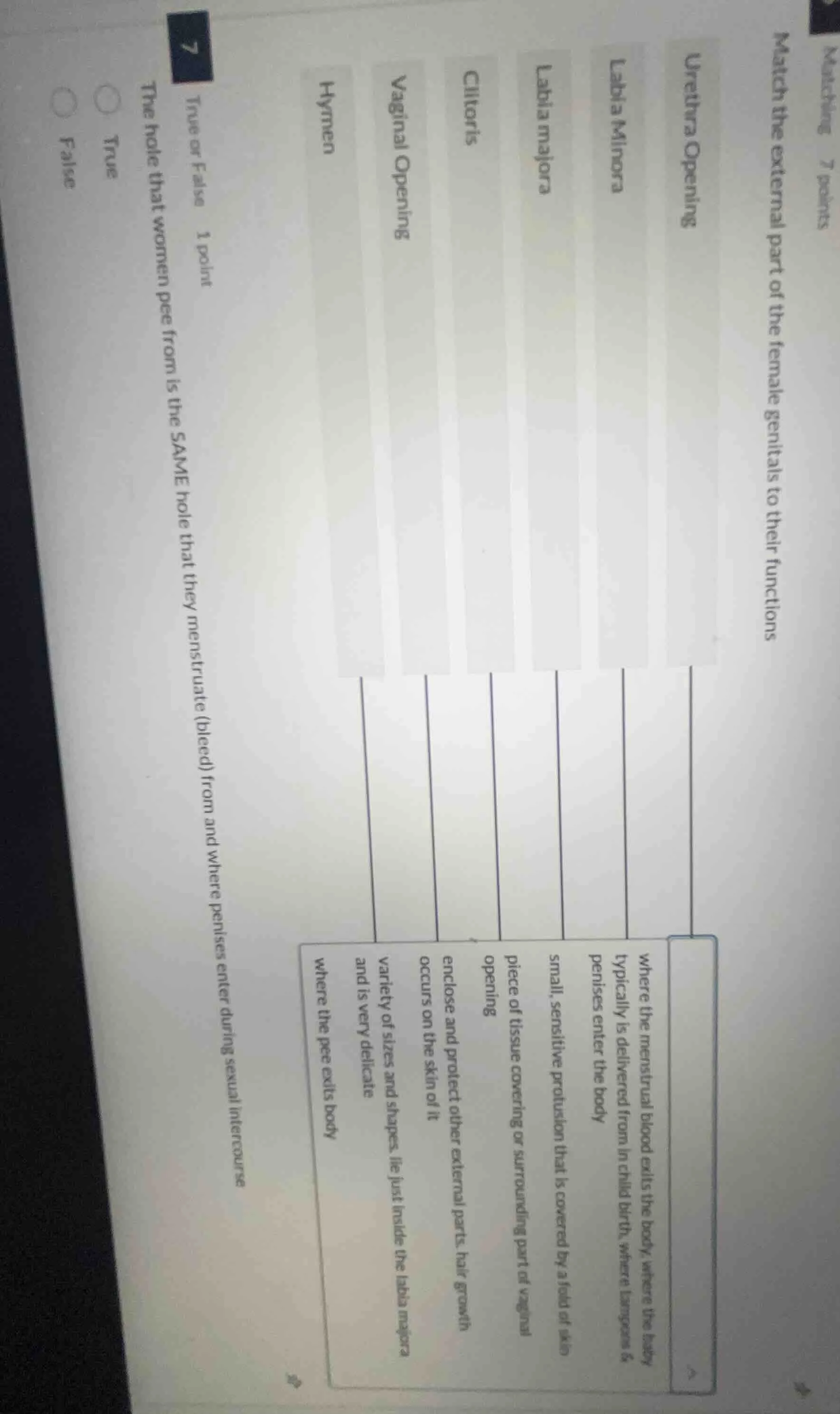 matching 7 points match the external part of the female genitals to the…