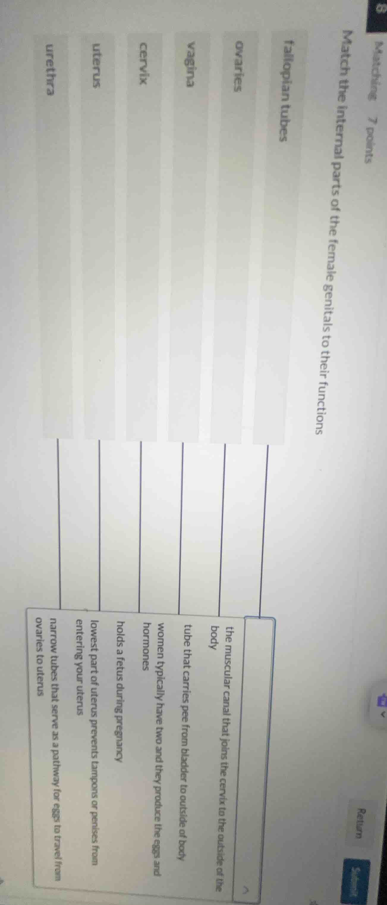 matching 7 points match the internal parts of the female genitals to th…