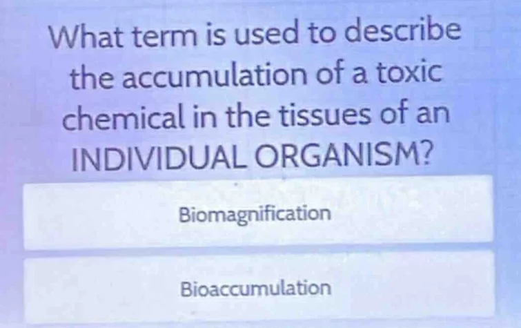 what term is used to describe the accumulation of a toxic chemical in t…
