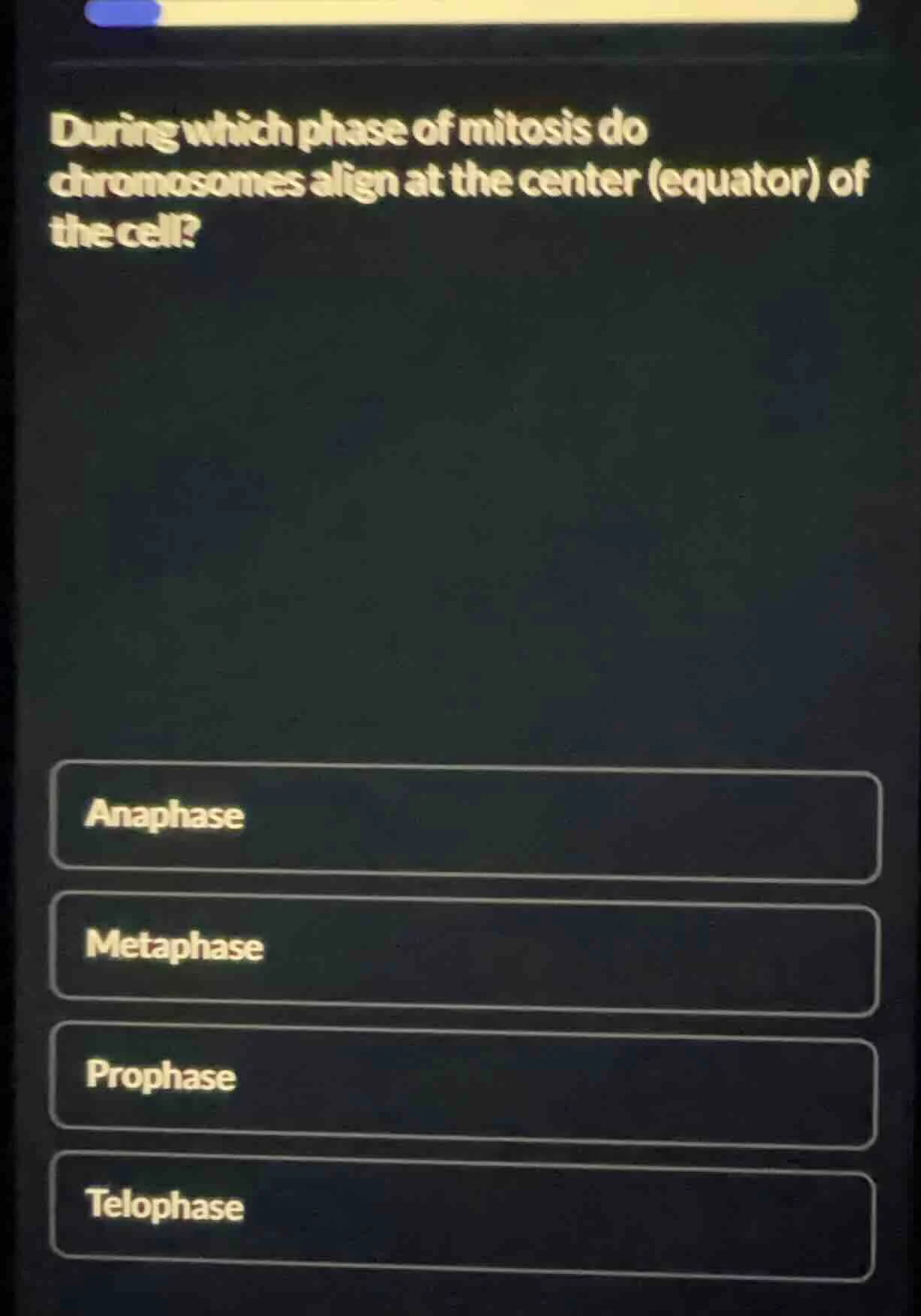 during which phase of mitosis do chromosomes align at the center (equat…