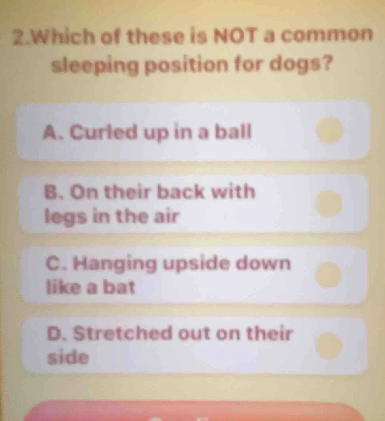 2.which of these is not a common sleeping position for dogs? a. curled …