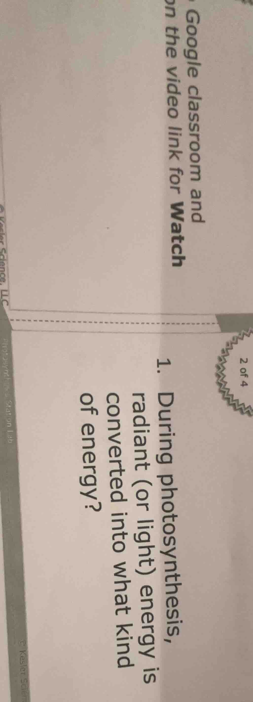 1. during photosynthesis, radiant (or light) energy is converted into w…
