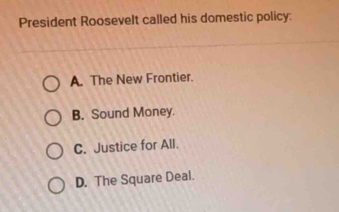 president roosevelt called his domestic policy: a. the new frontier. b.…
