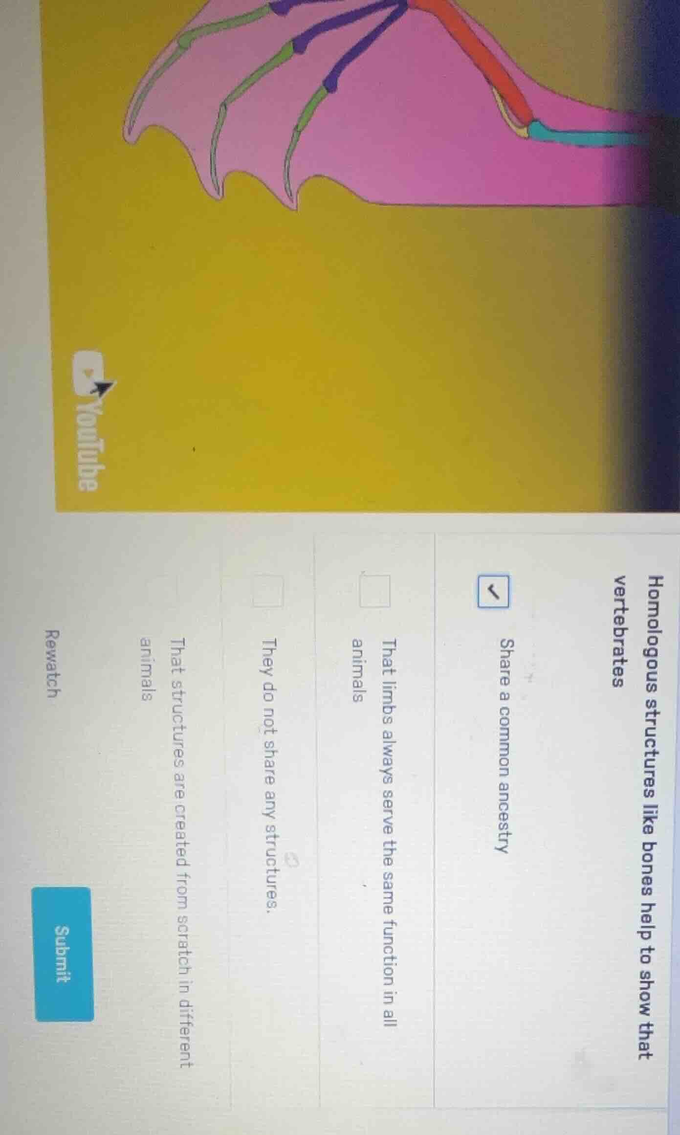 homologous structures like bones help to show that vertebrates share a …