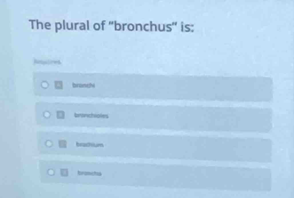 the plural of \bronchus\ is: options with radio buttons, text of option…