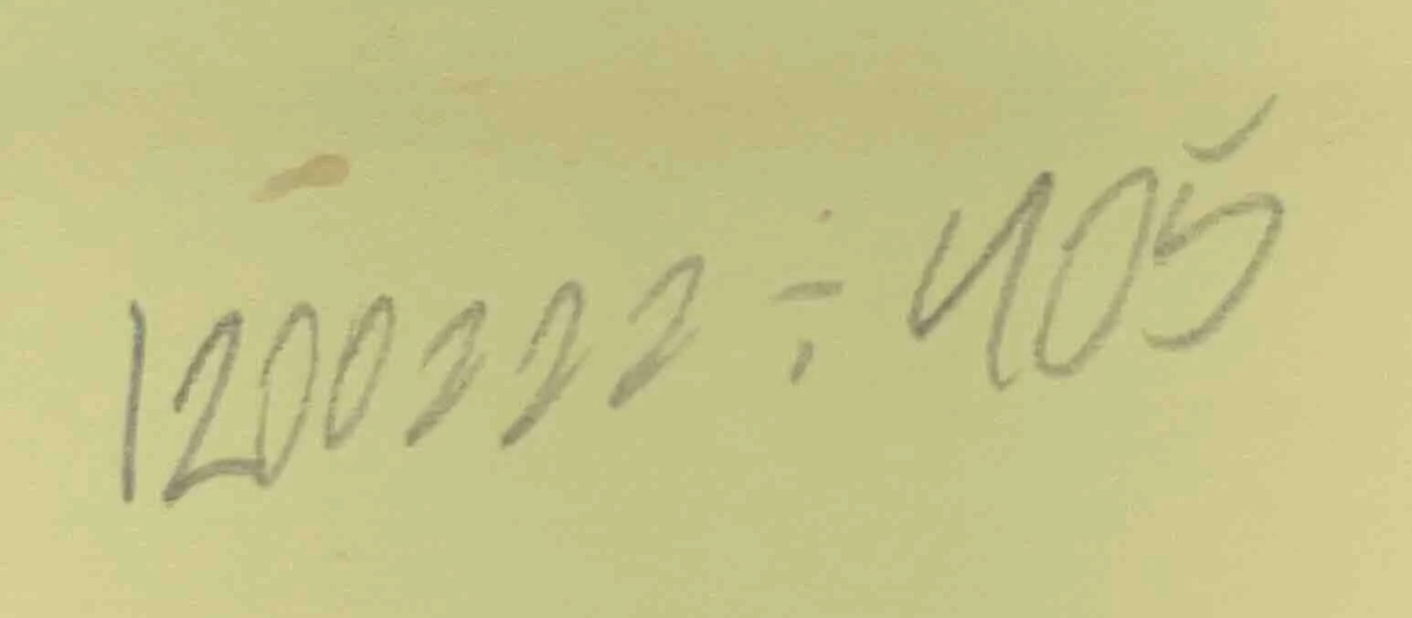 1200222 ÷ 405