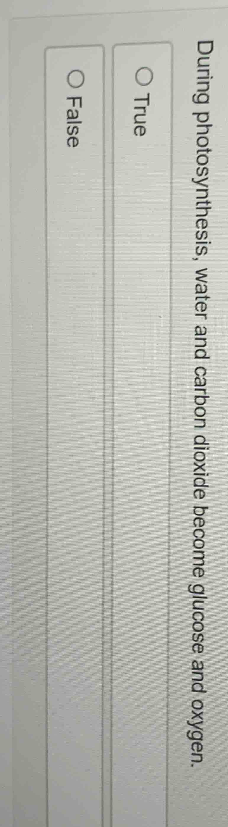 during photosynthesis, water and carbon dioxide become glucose and oxyg…