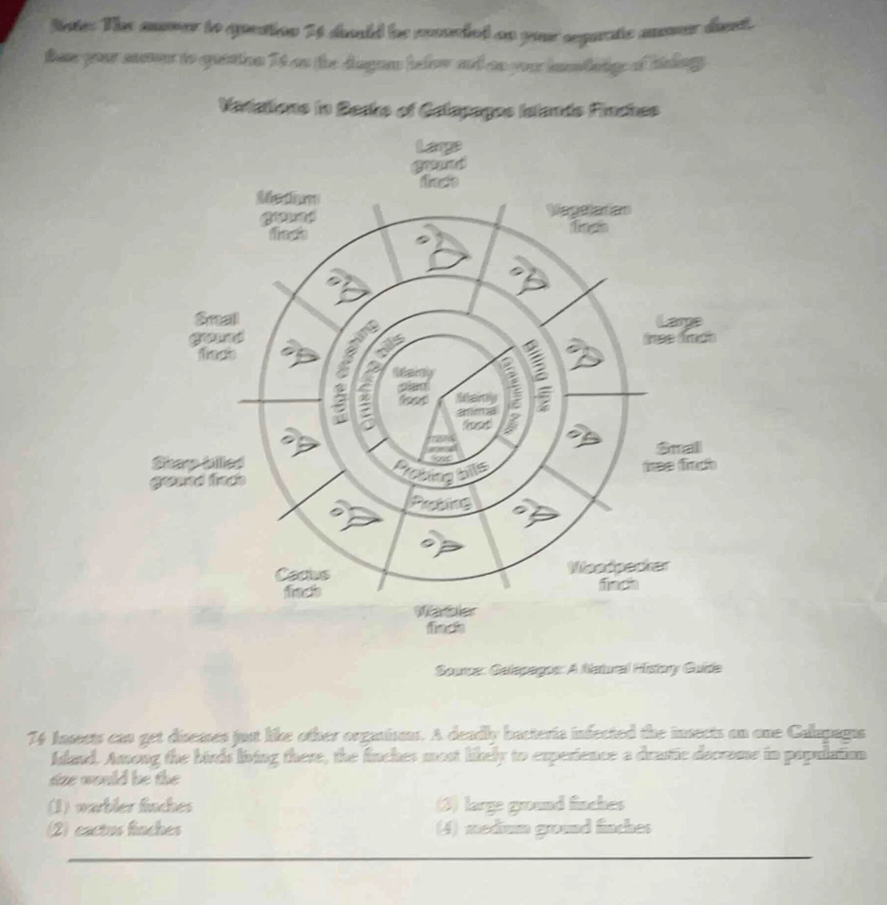 note: this answer to question 74 should be recorded on your separate an…