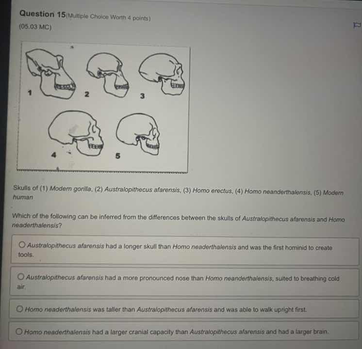 question 15 (multiple choice worth 4 points) (05.03 mc) skulls of (1) m…
