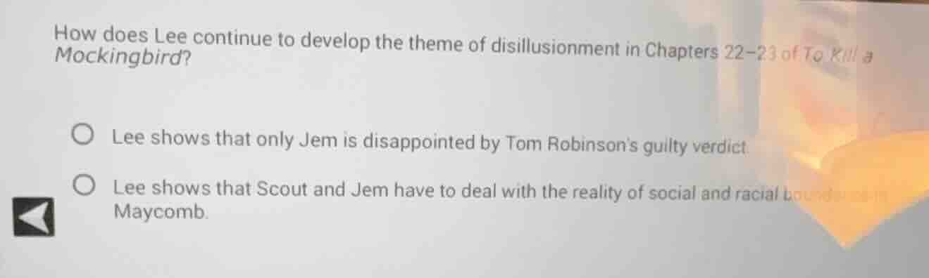 how does lee continue to develop the theme of disillusionment in chapte…