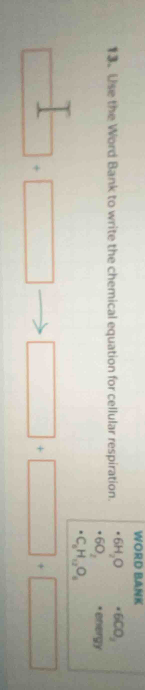 13. use the word bank to write the chemical equation for cellular respi…
