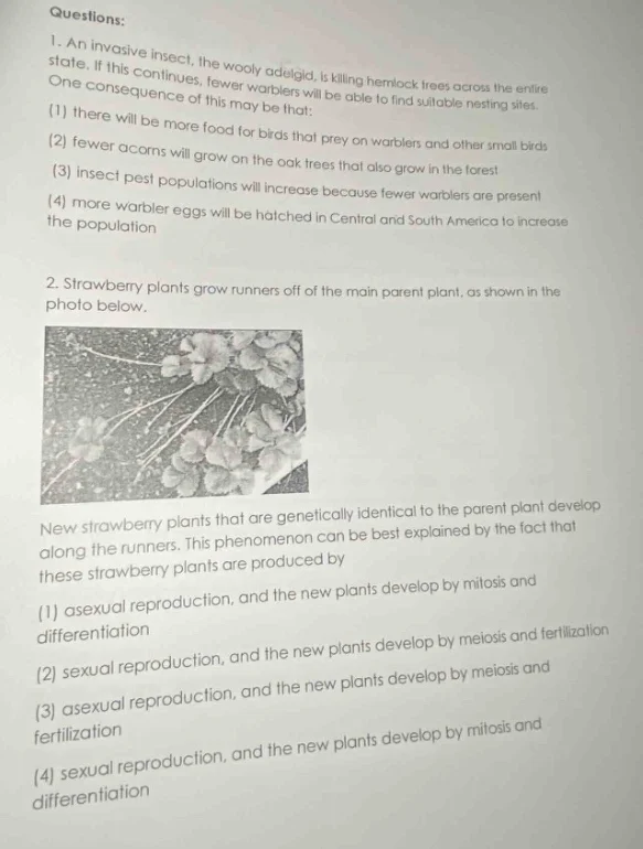 questions: 1. an invasive insect, the woolly adelgid, is killing hemloc…