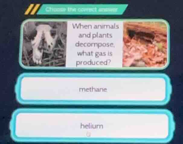 choose the correct answer when animals and plants decompose, what gas i…