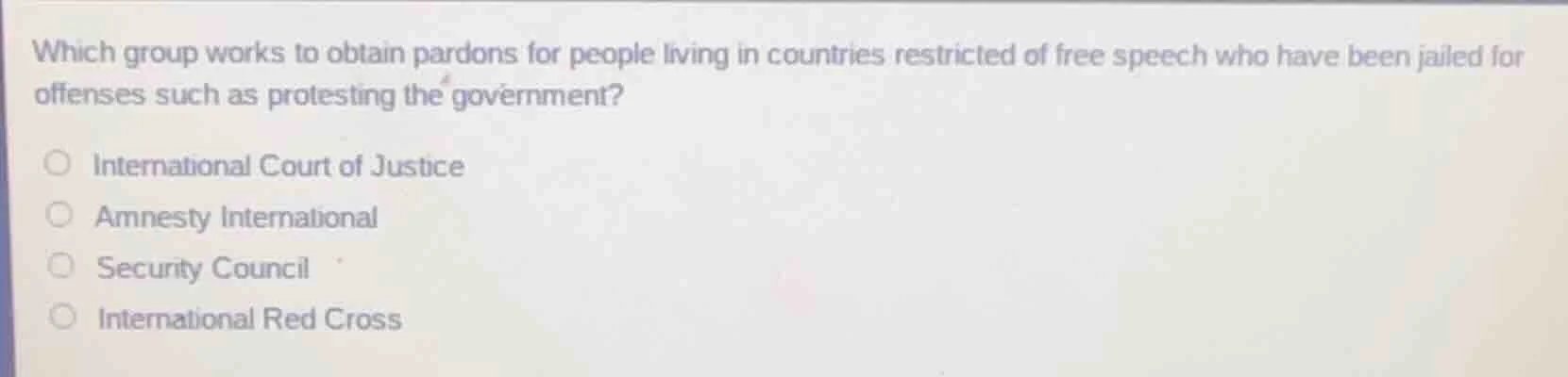 which group works to obtain pardons for people living in countries rest…