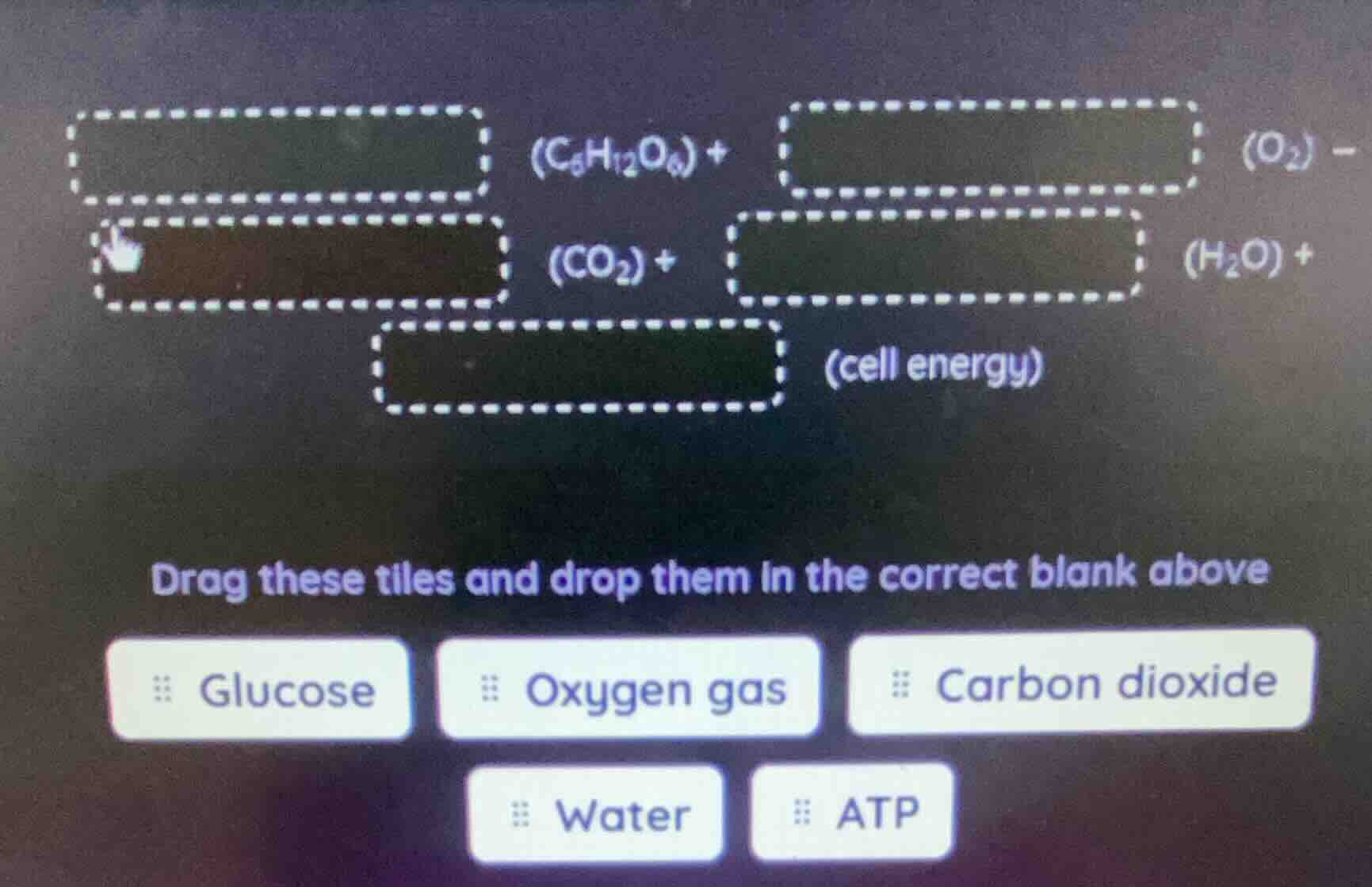drag these tiles and drop them in the correct blank above. glucose, oxy…