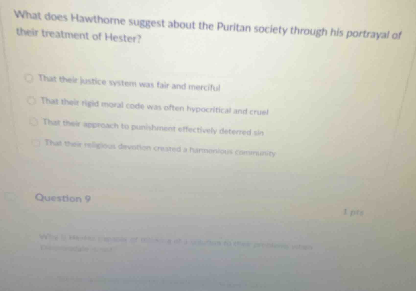 what does hawthorne suggest about the puritan society through his portr…