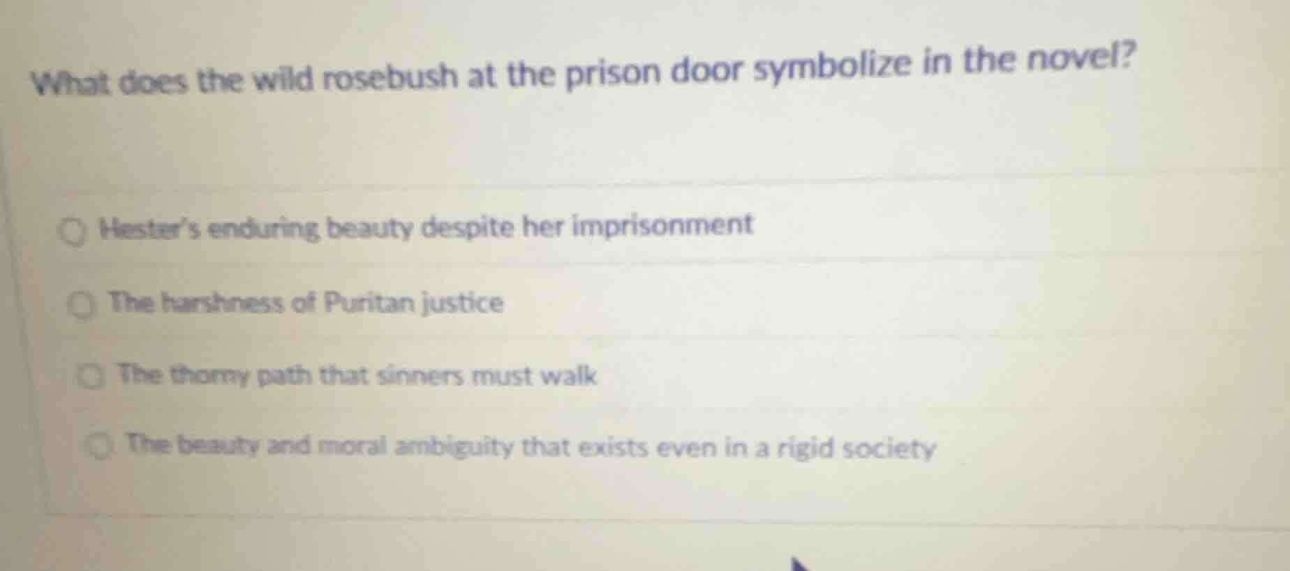 what does the wild rosebush at the prison door symbolize in the novel? …