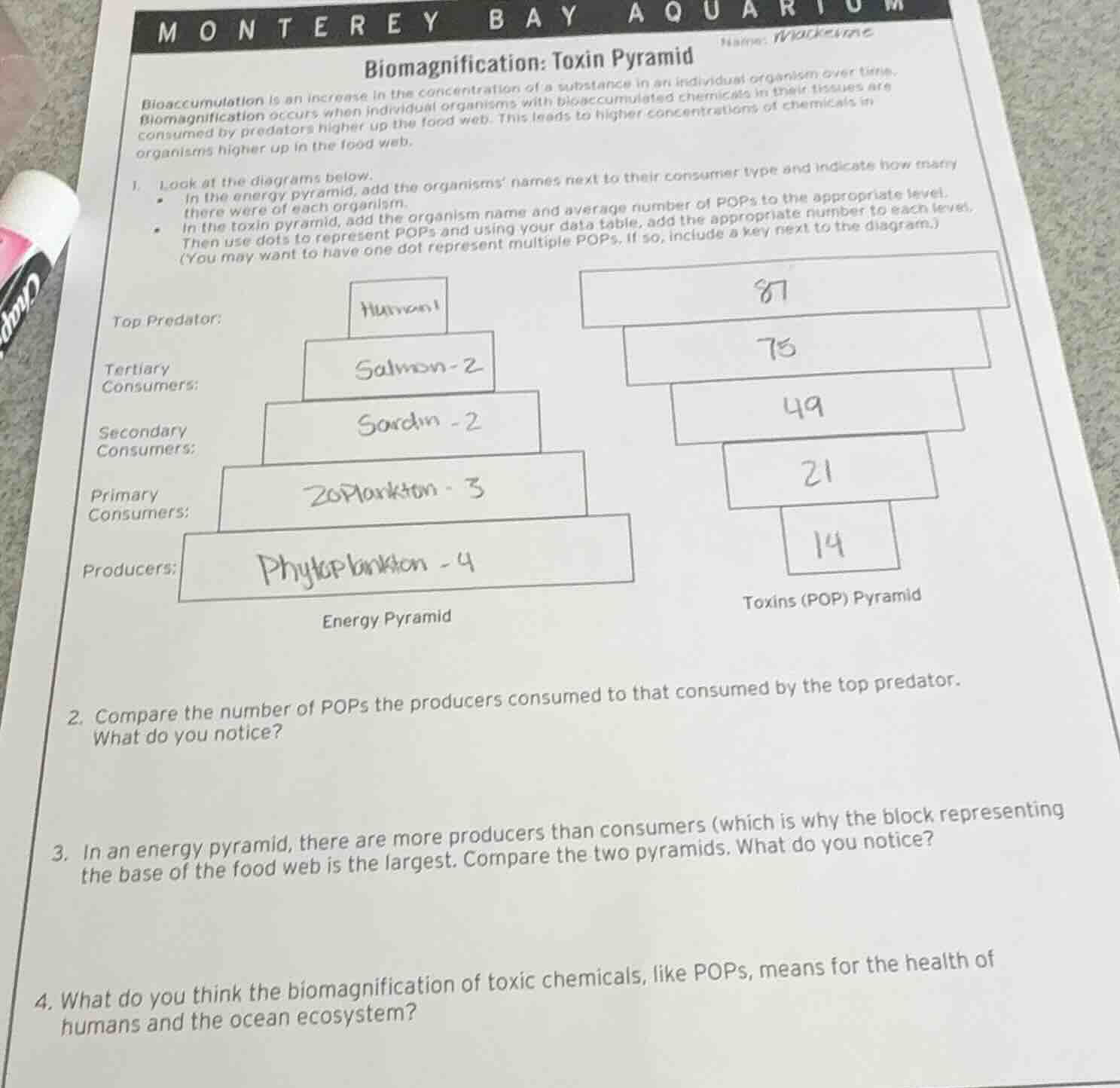 monterey bay aquarium name: biomagnification: toxin pyramid bioaccumula…