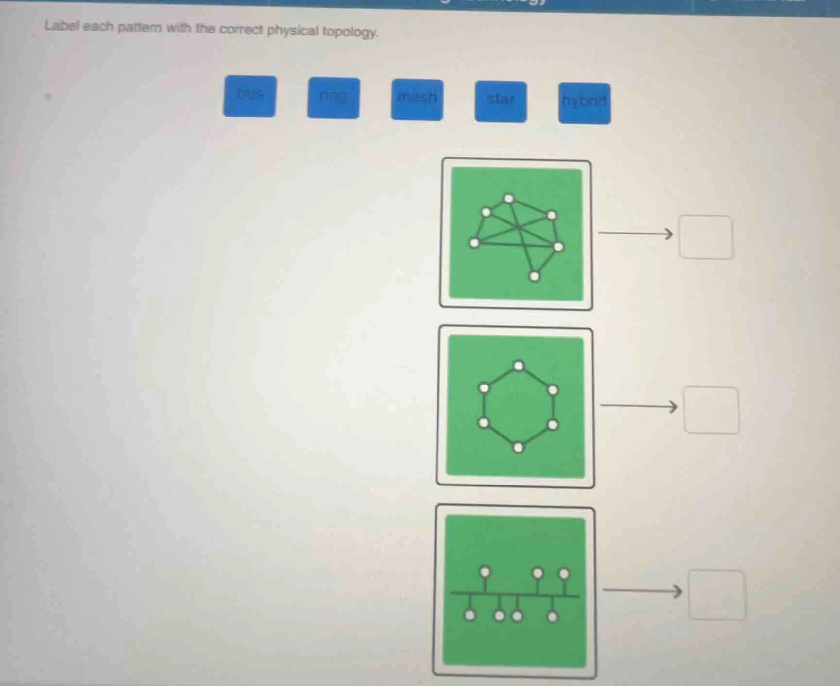label each pattern with the correct physical topology. bus ring mesh st…