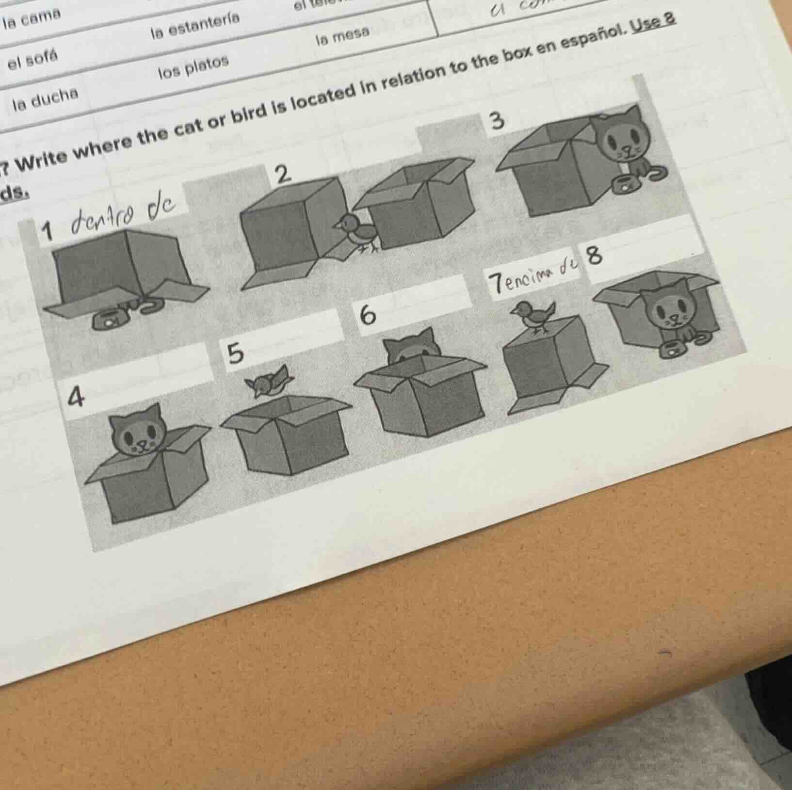 la cama el sofá la estantería ella ducha los platos la mesa a ? write w…
