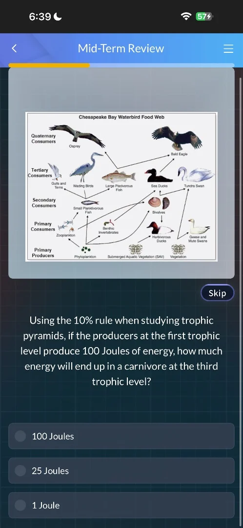 mid-term review chesapeake bay waterbird food web quaternary consumers …