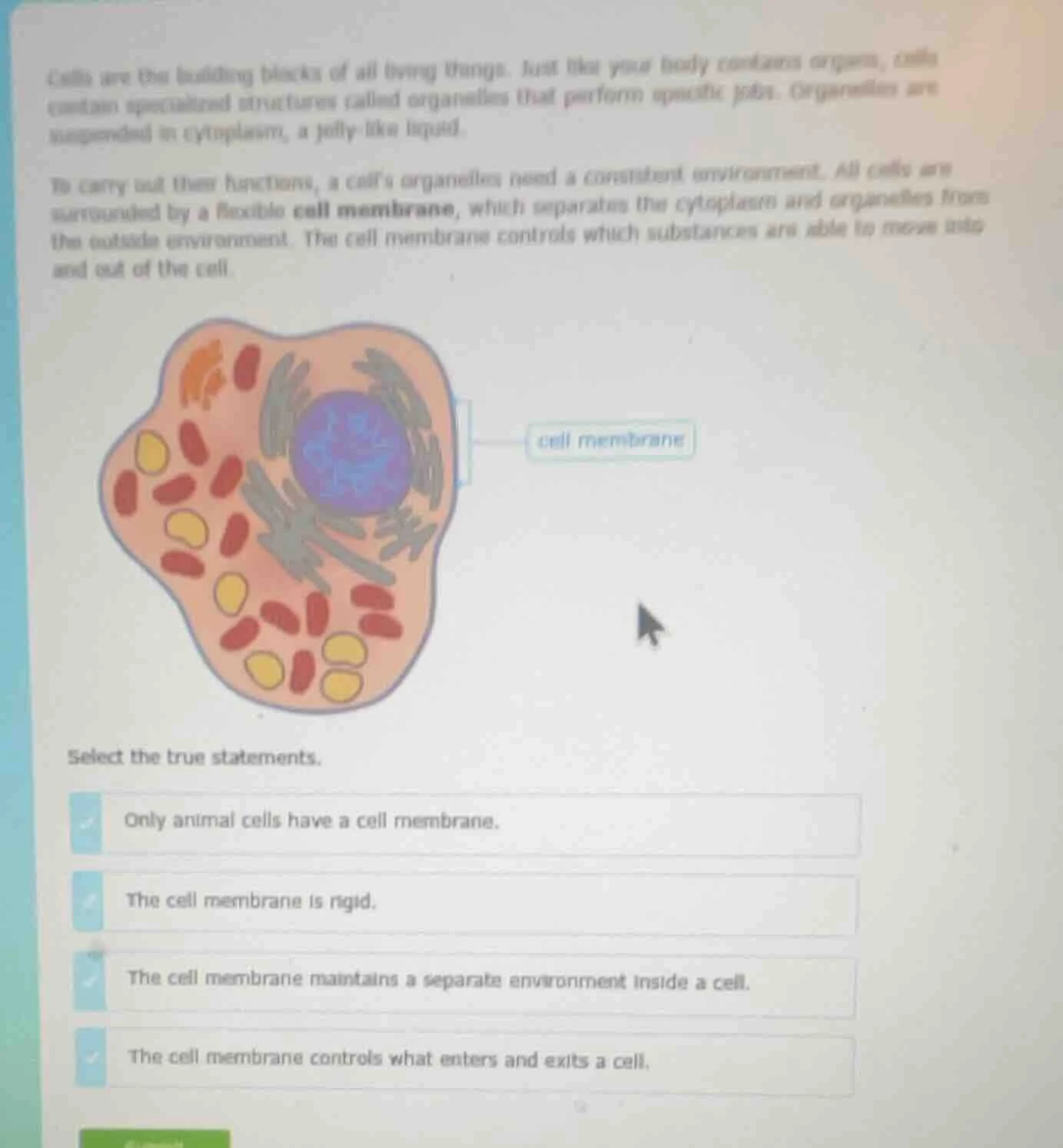 cells are the building blocks of all living things. just like your body…