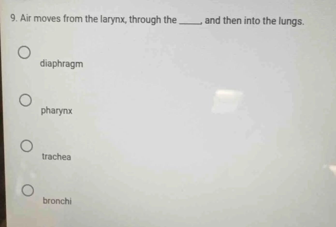 9. air moves from the larynx, through the ______, and then into the lun…