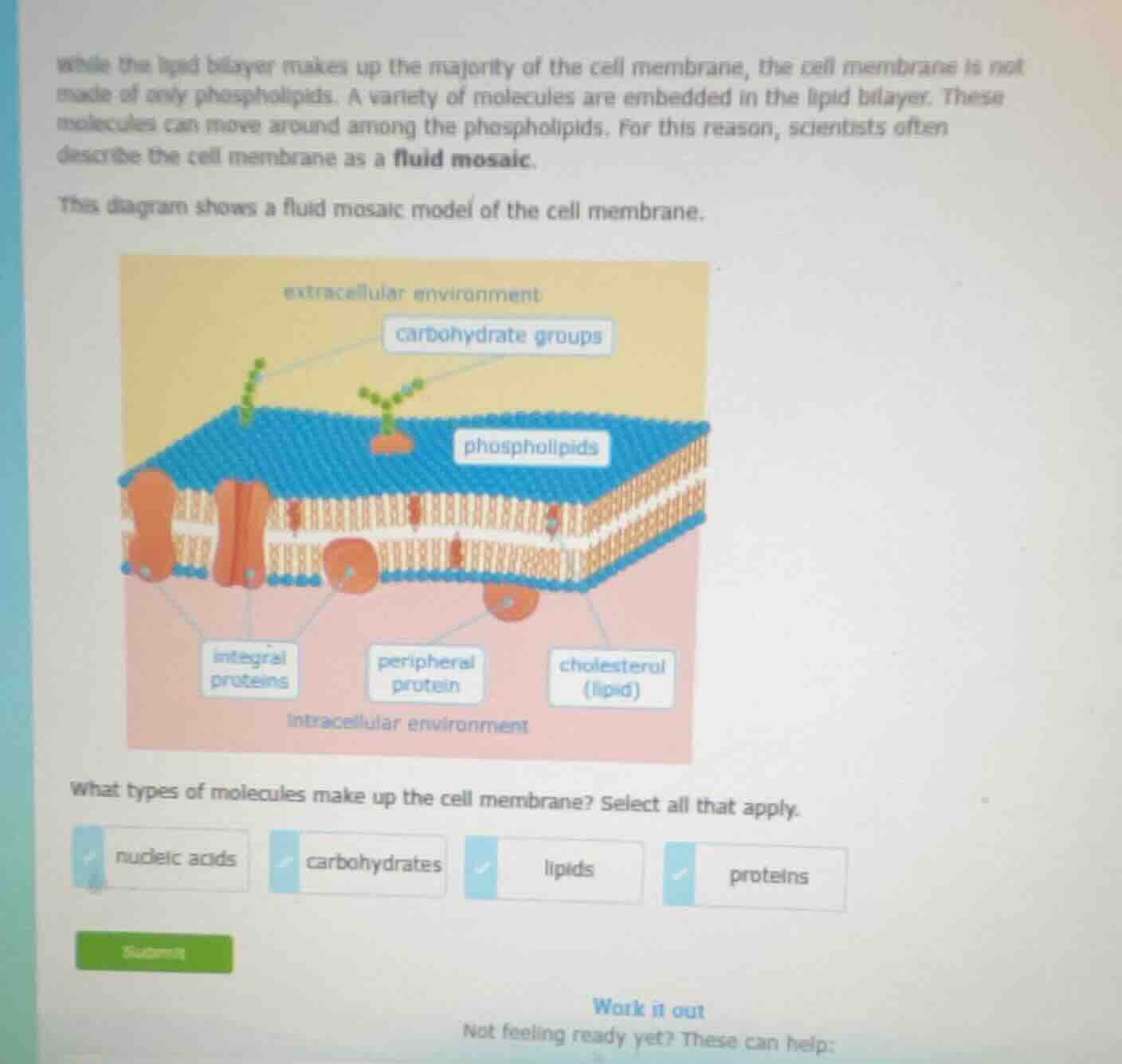 while the lipid bilayer makes up the majority of the cell membrane, the…