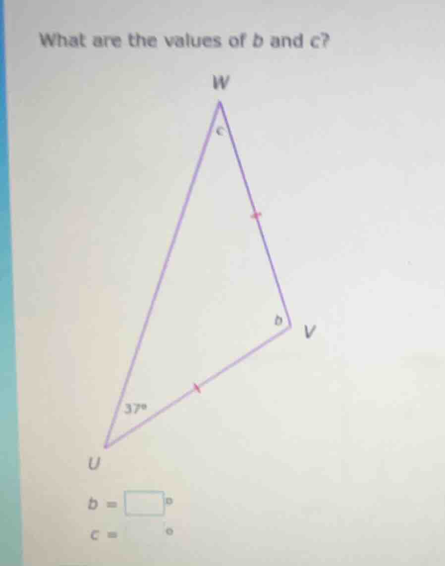 what are the values of b and c? (image of an isosceles triangle wuv wit…