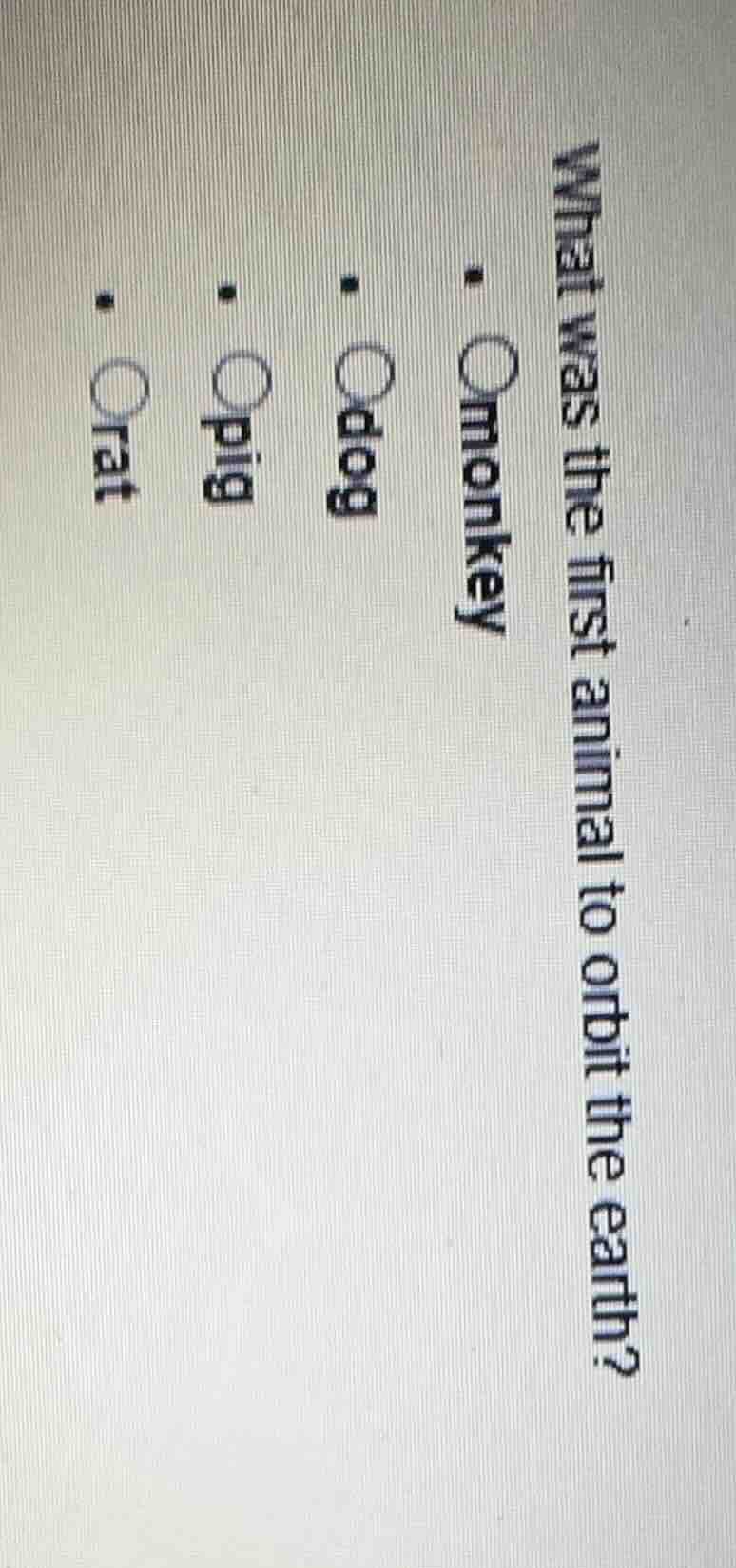 what was the first animal to orbit the earth? - monkey - dog - pig - rat