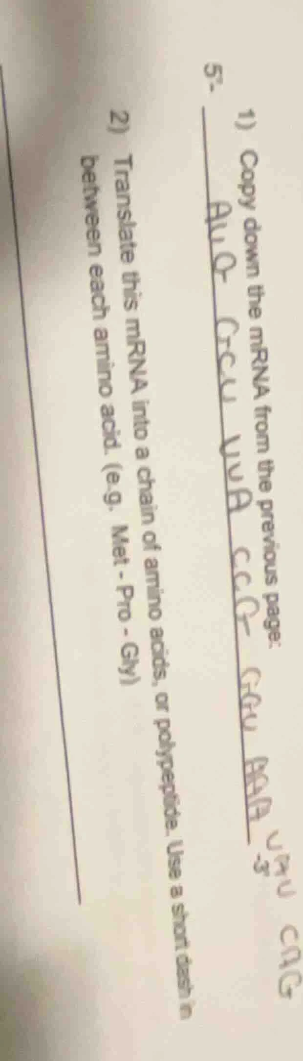 5. 1) copy down the mrna from the previous page: auu cuc uua ccg gcu aa…