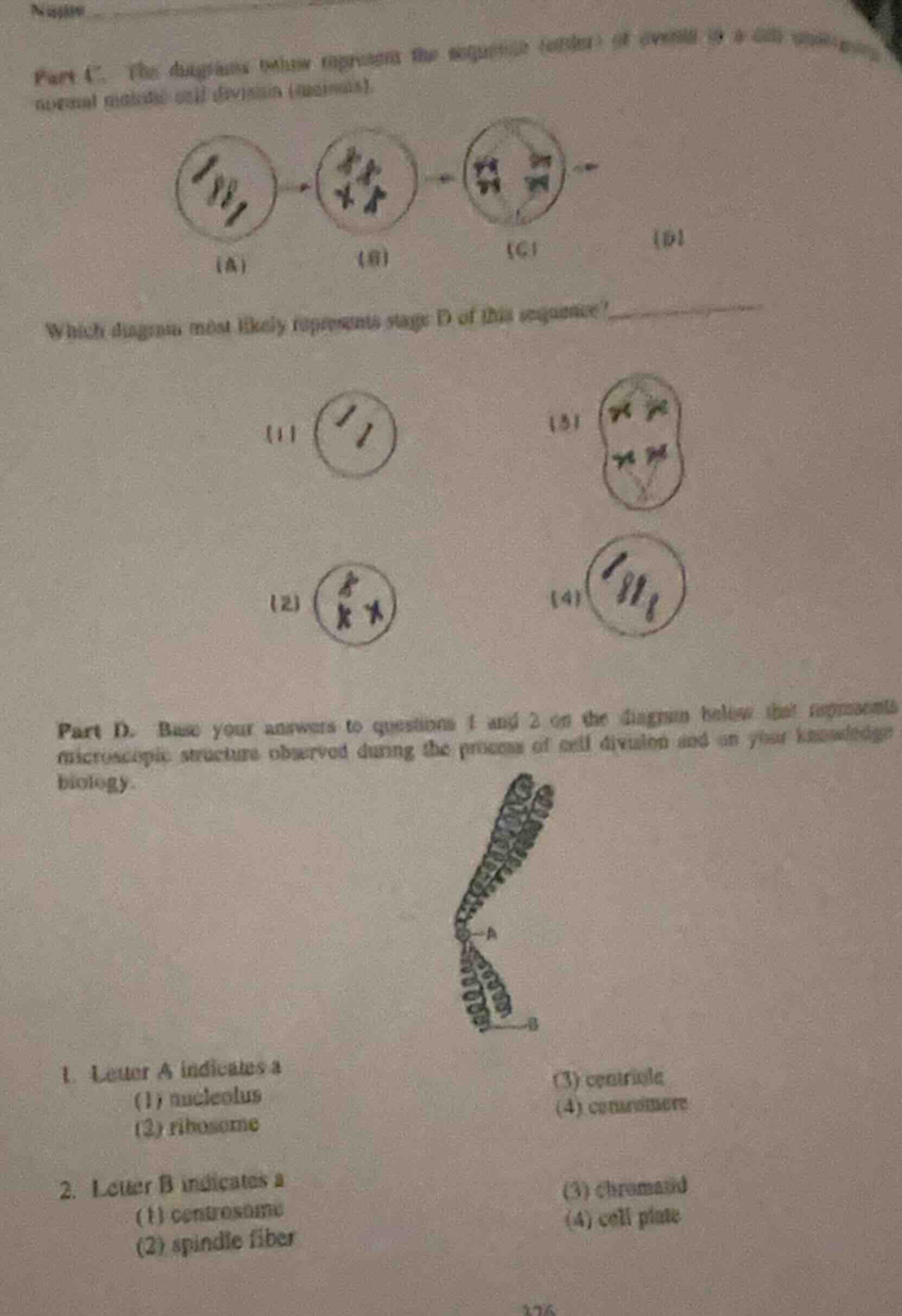 part c. the diagrams below represent the sequence (order) of events in …