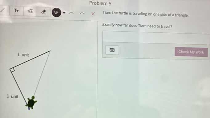 problem 5 tiam the turtle is traveling on one side of a triangle. exact…