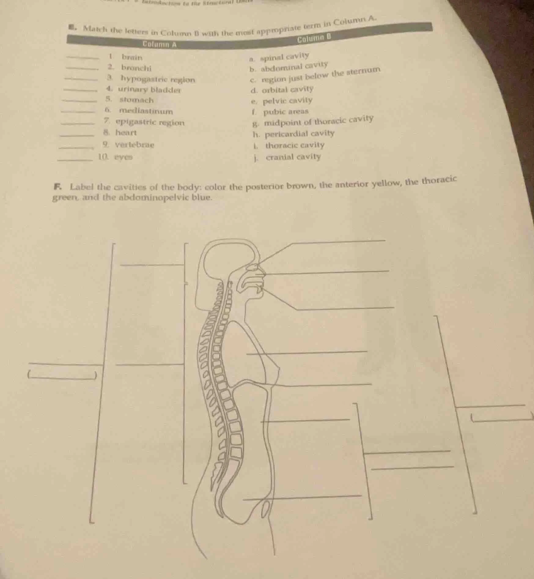 e. match the letters in column b with the most appropriate term in colu…