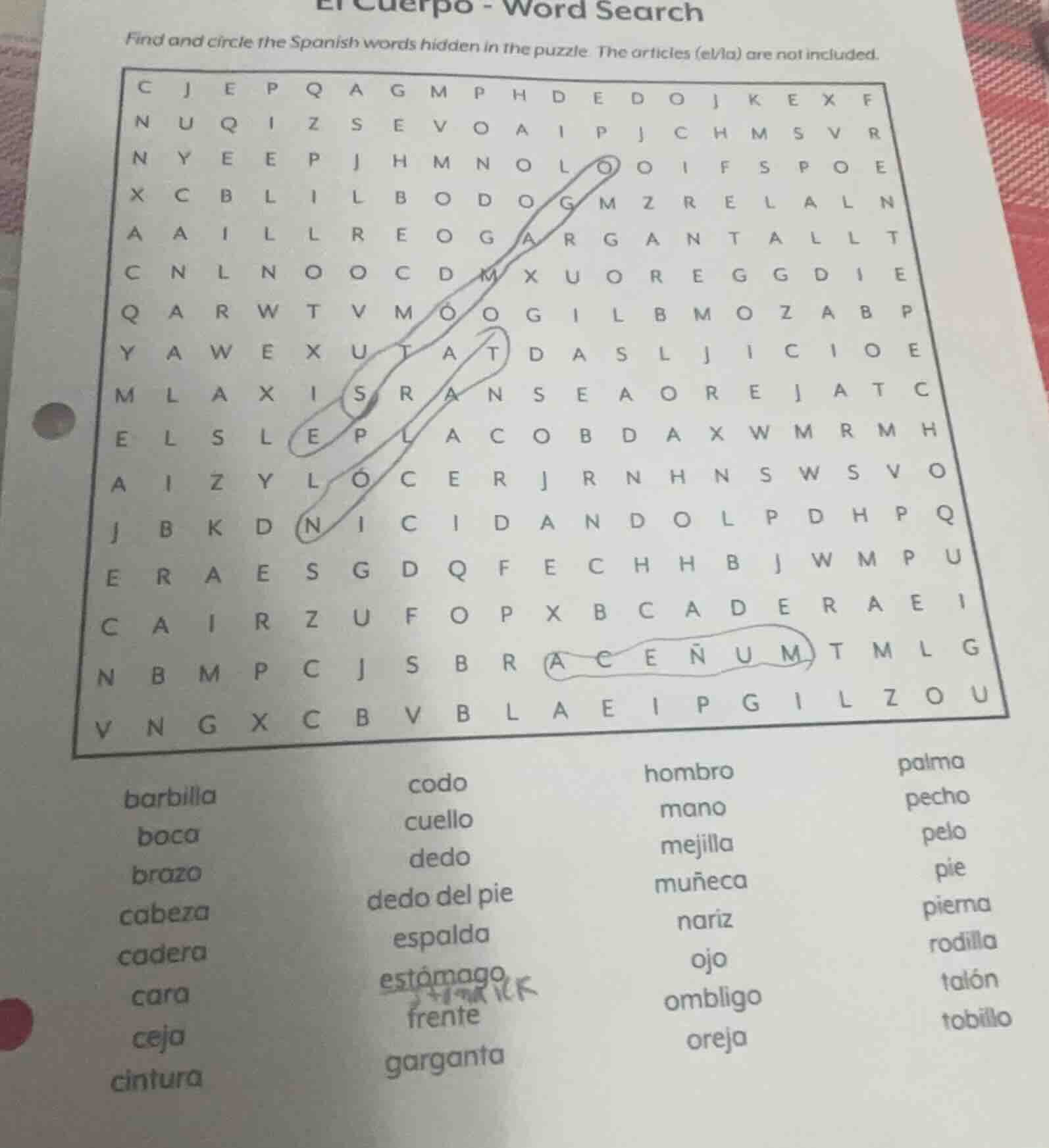 el cuerpo - word search find and circle the spanish words hidden in the…