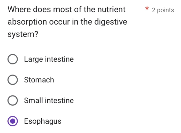 where does most of the nutrient absorption occur in the digestive syste…