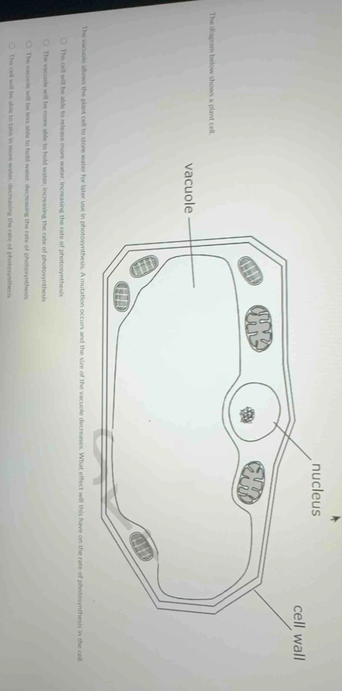 the diagram below shows a plant cell. the vacuole allows the plant cell…