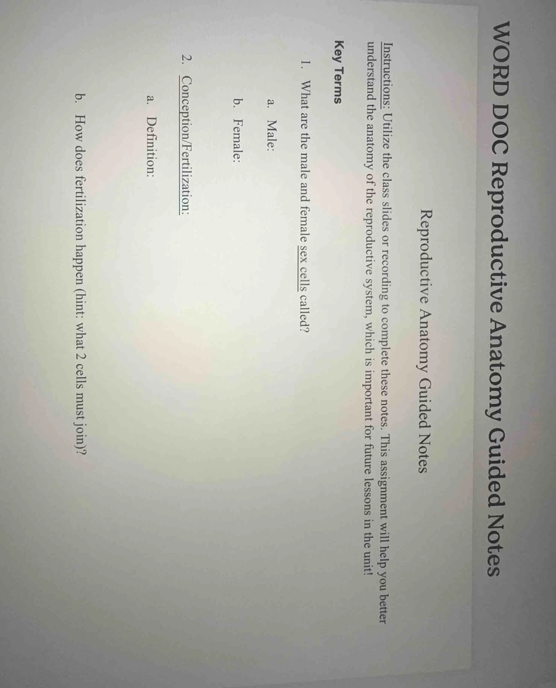 word doc reproductive anatomy guided notes reproductive anatomy guided …