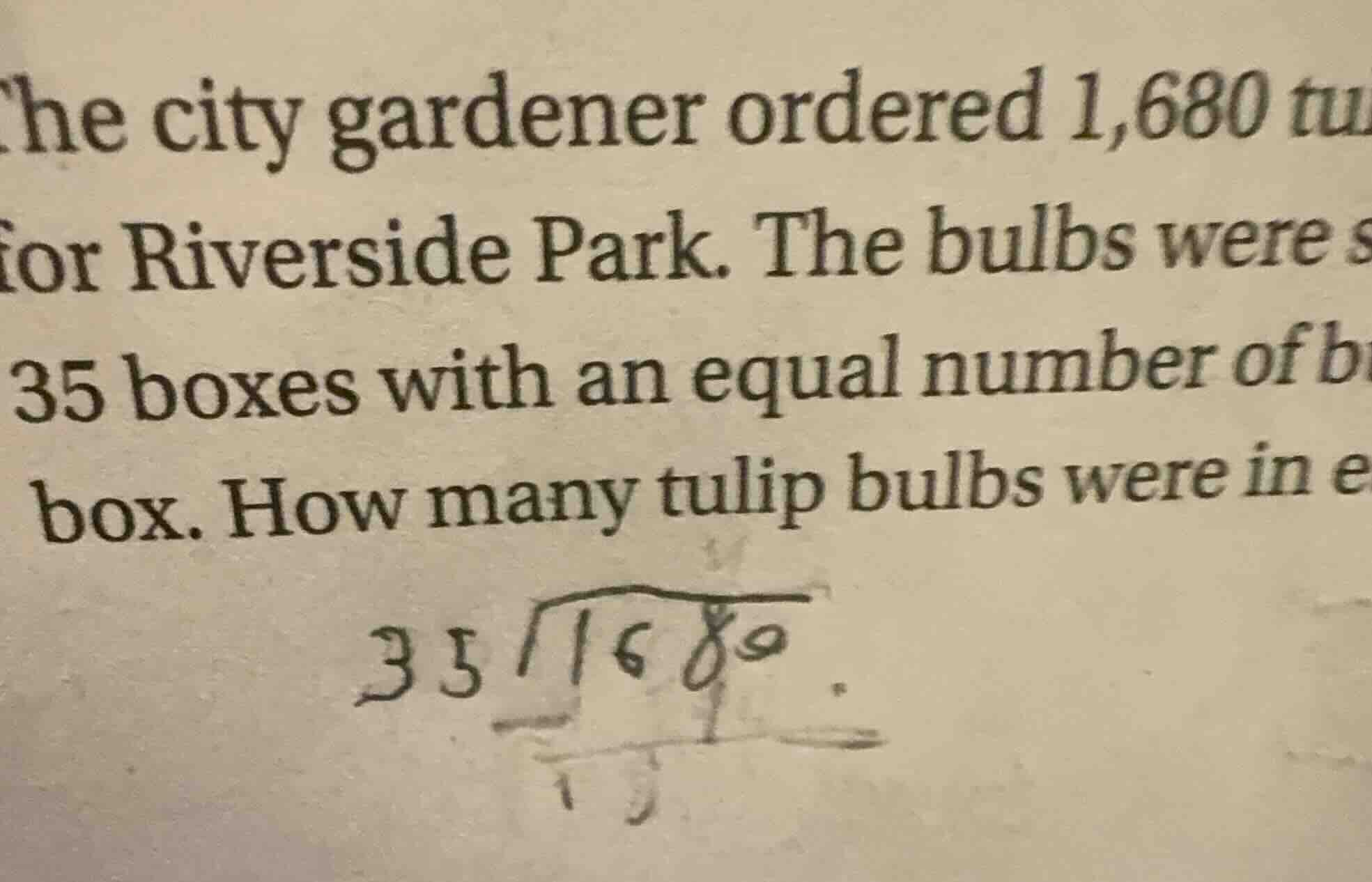 the city gardener ordered 1,680 tulip bulbs for riverside park. the bul…
