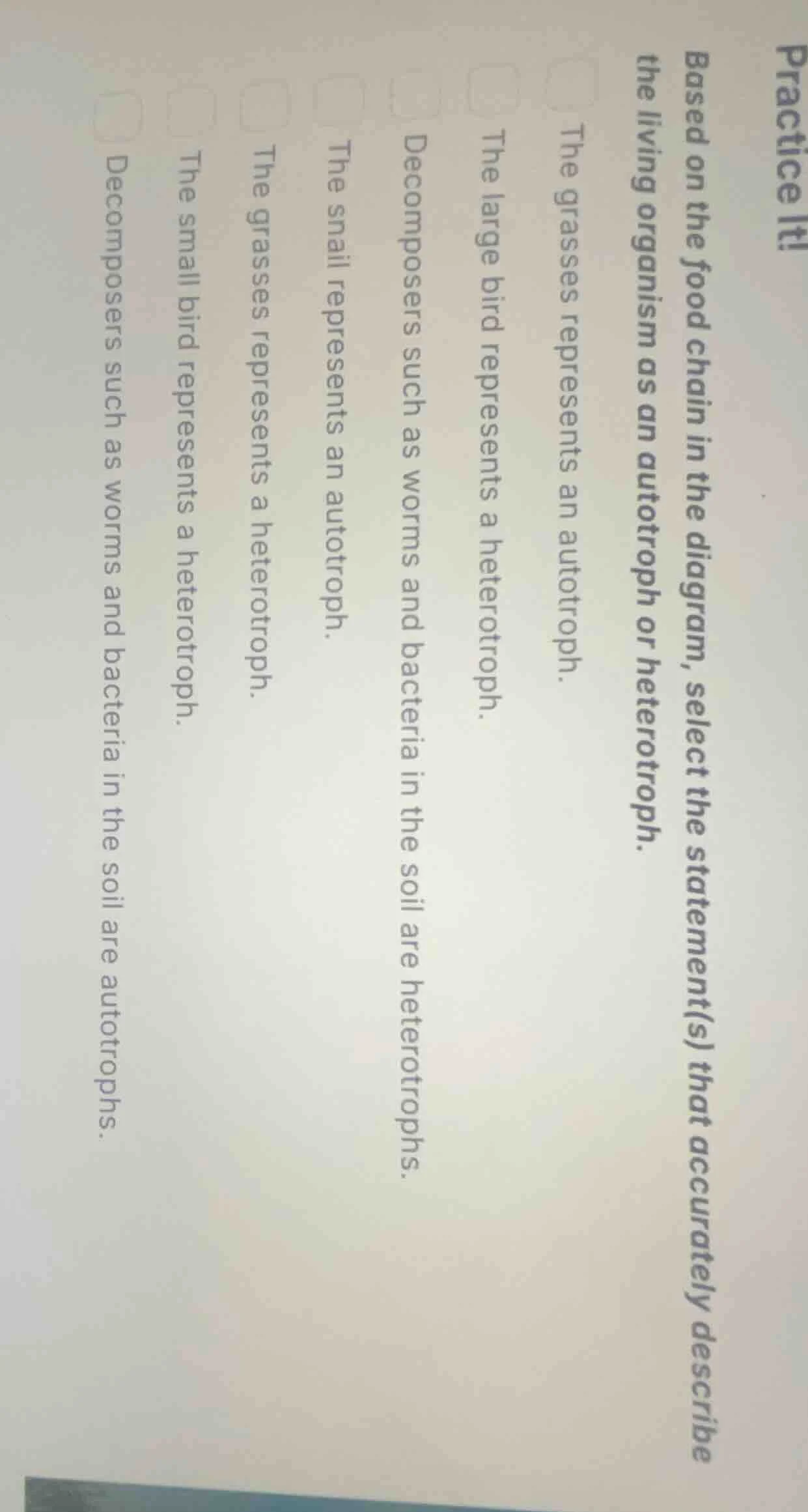 practice it! based on the food chain in the diagram, select the stateme…