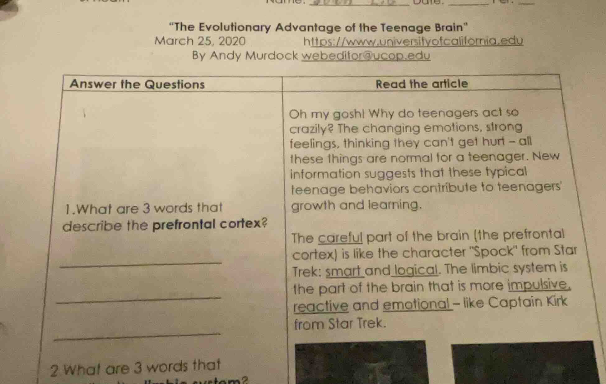 \the evolutionary advantage of the teenage brain\ march 25, 2020 https:…