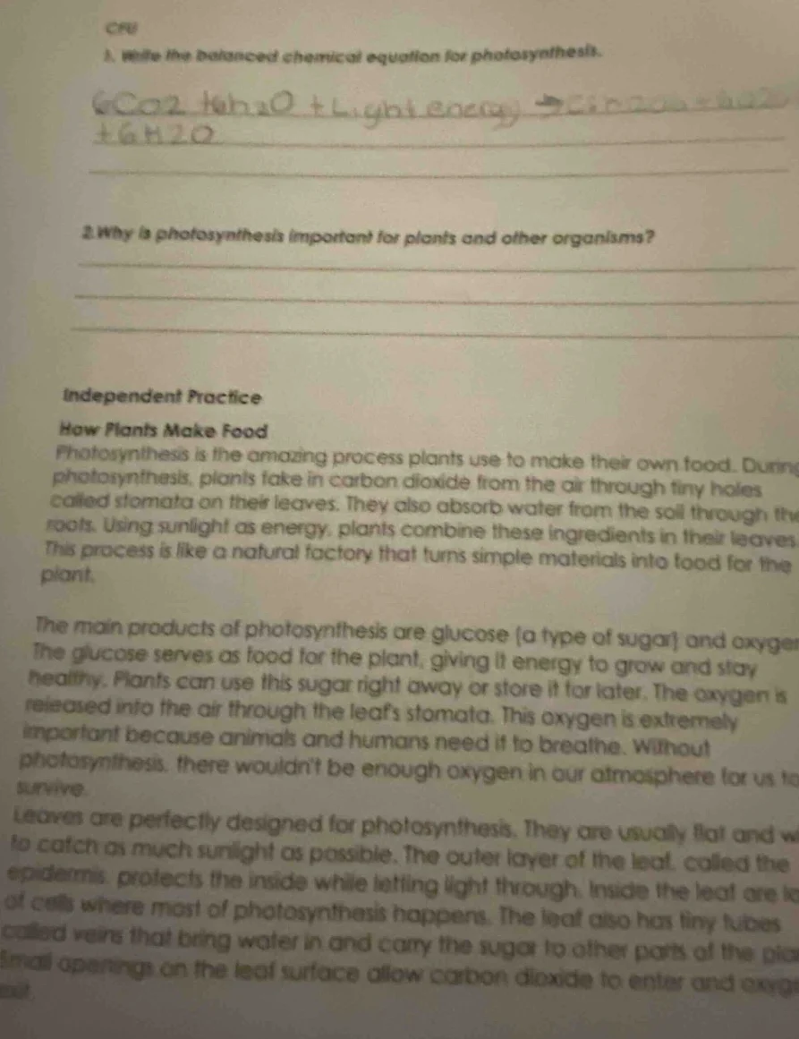 cru 1. write the balanced chemical equation for photosynthesis. 2. why …