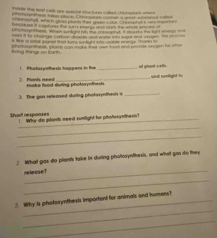 inside the leaf cells are special structures called chloroplasts where …