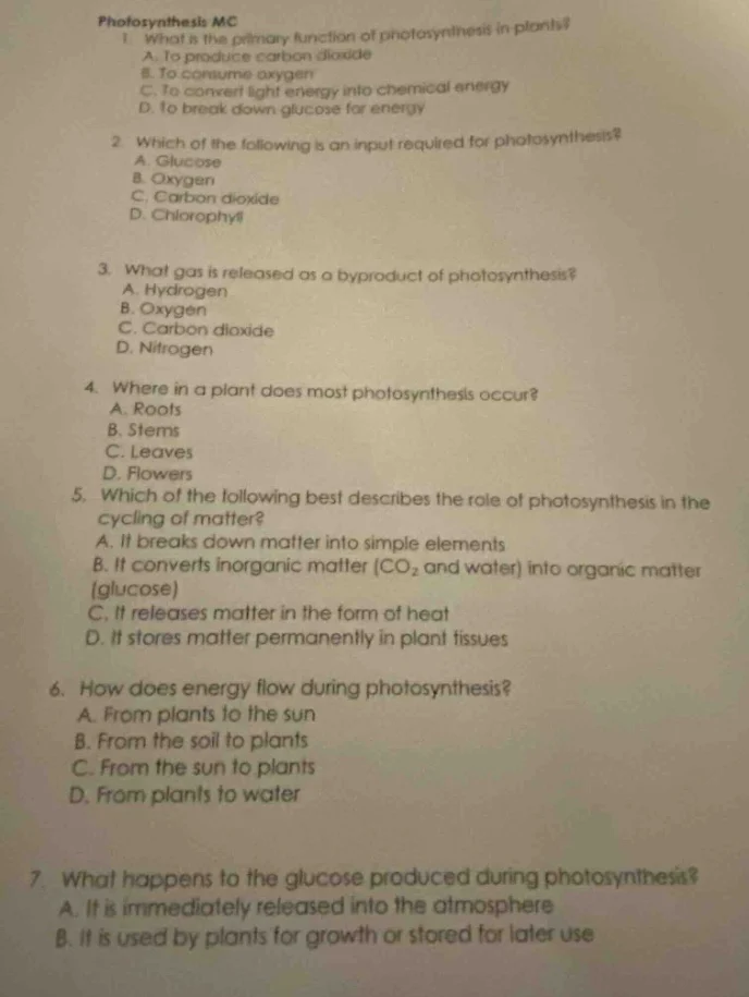 photosynthesis mc 1. what is the primary function of photosynthesis in …