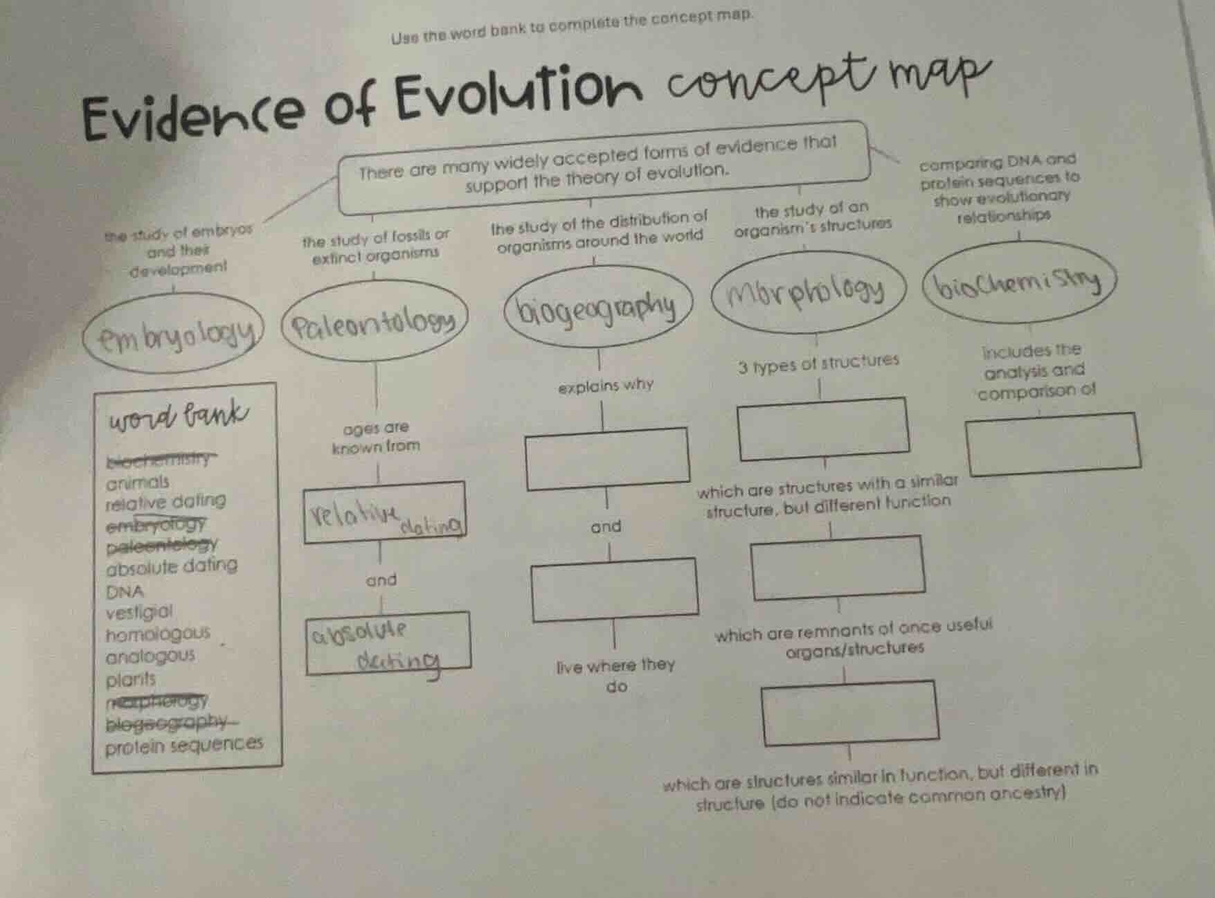 use the word bank to complete the concept map. evidence of evolution co…