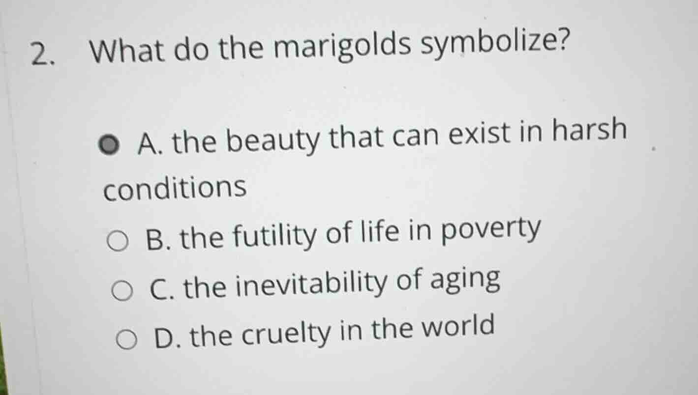 2. what do the marigolds symbolize? a. the beauty that can exist in har…