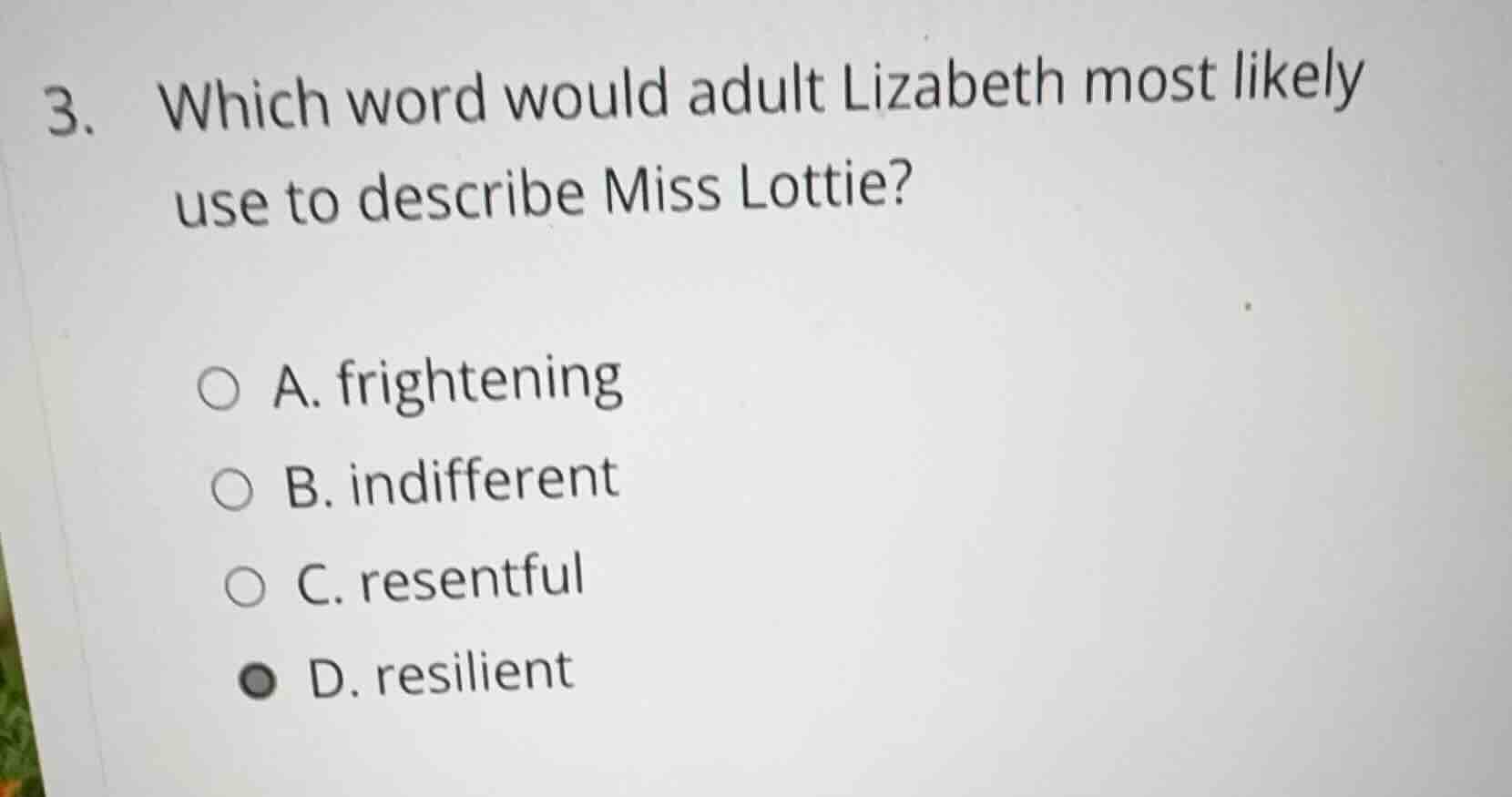 3. which word would adult lizabeth most likely use to describe miss lot…